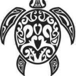 sea turtle +$9.00